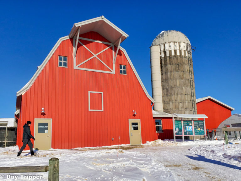 Things to do at Gale Woods Farm in Minnetrista