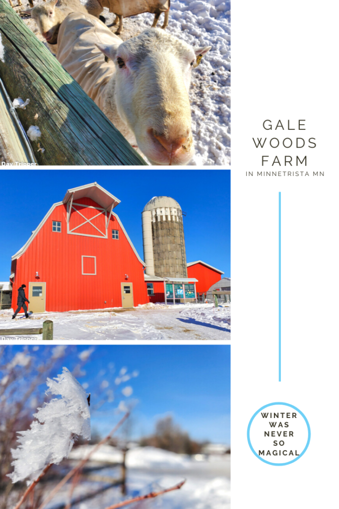 Gale Woods Farm in Minnetrista MN, Winter has never been so magical in Minnesota. 