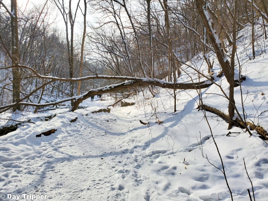 Winter hiking trails at Hidden Falls Regional Park 