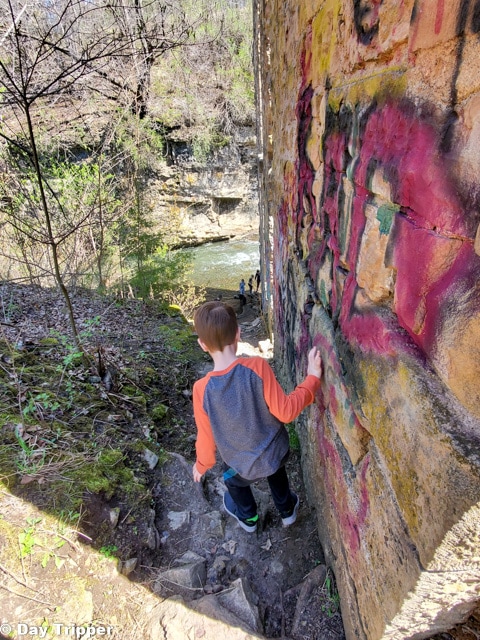 Exploring Old Mill Park
