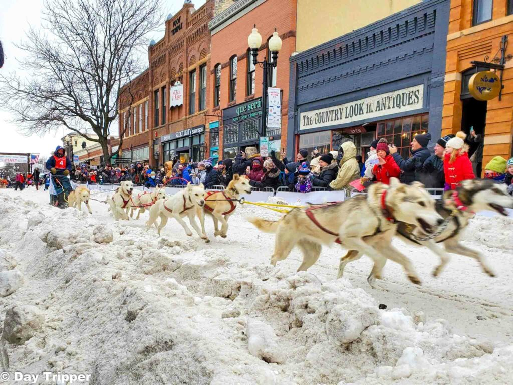 Mushers at the Klondike Derby in Excelsior
