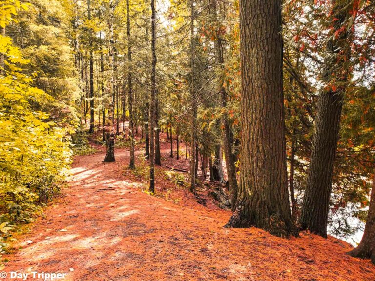 The Best Hiking Trails in Duluth, MN in 2024