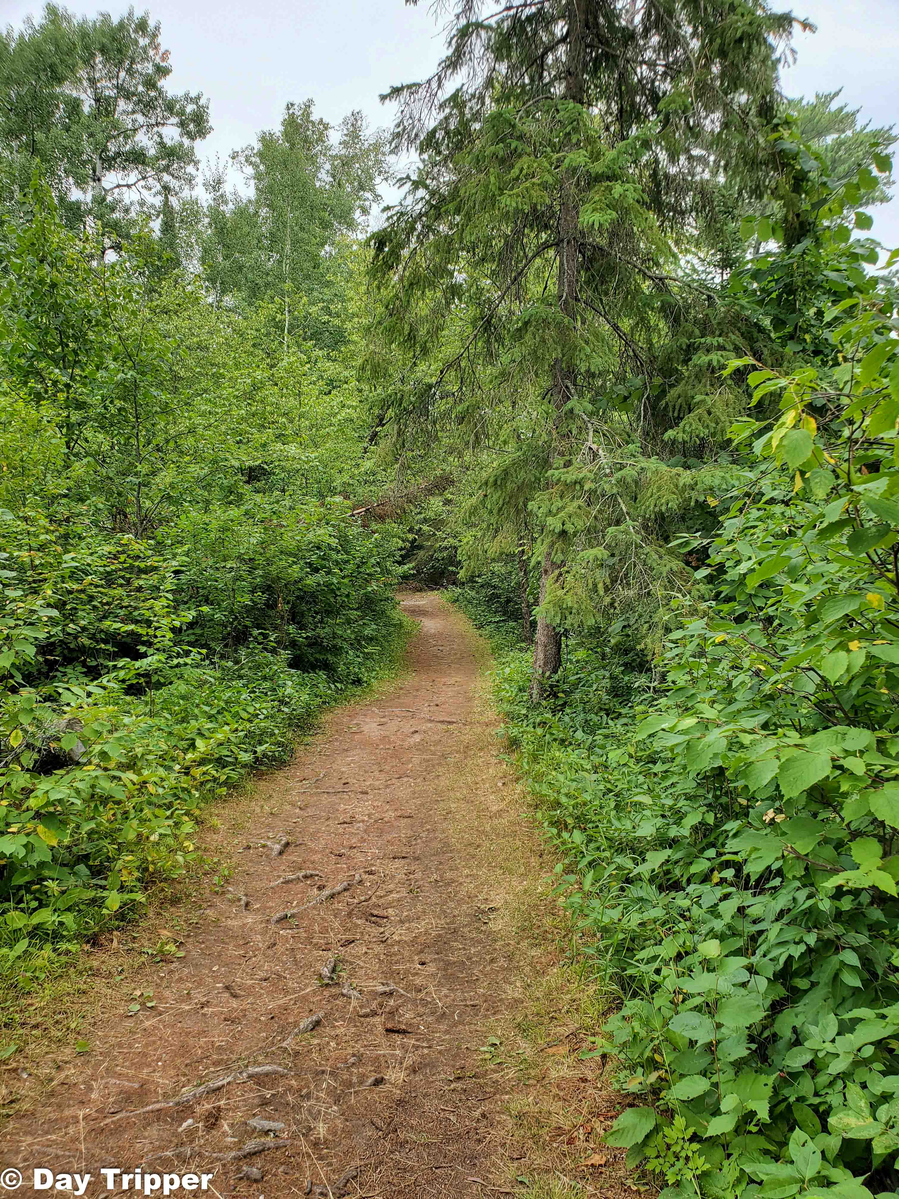 Hiking Club Trail