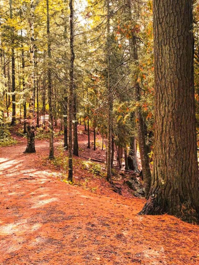 Things to do during Fall in Minnesota