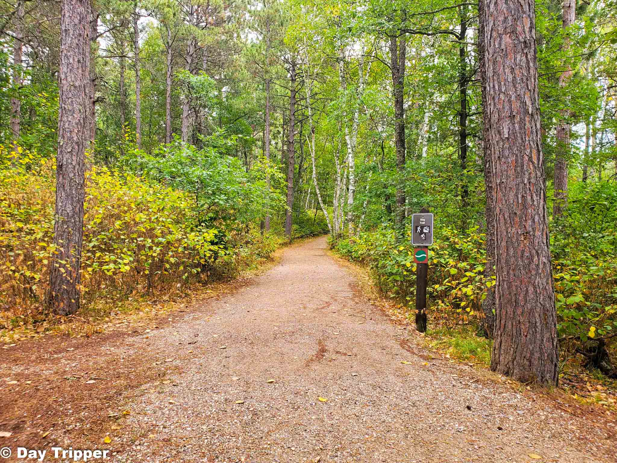 Hiking Club Trail and the top things to do at Lake Bemidji State Park