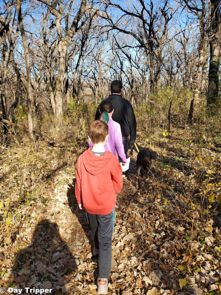Family Hiking at Kilen Woods