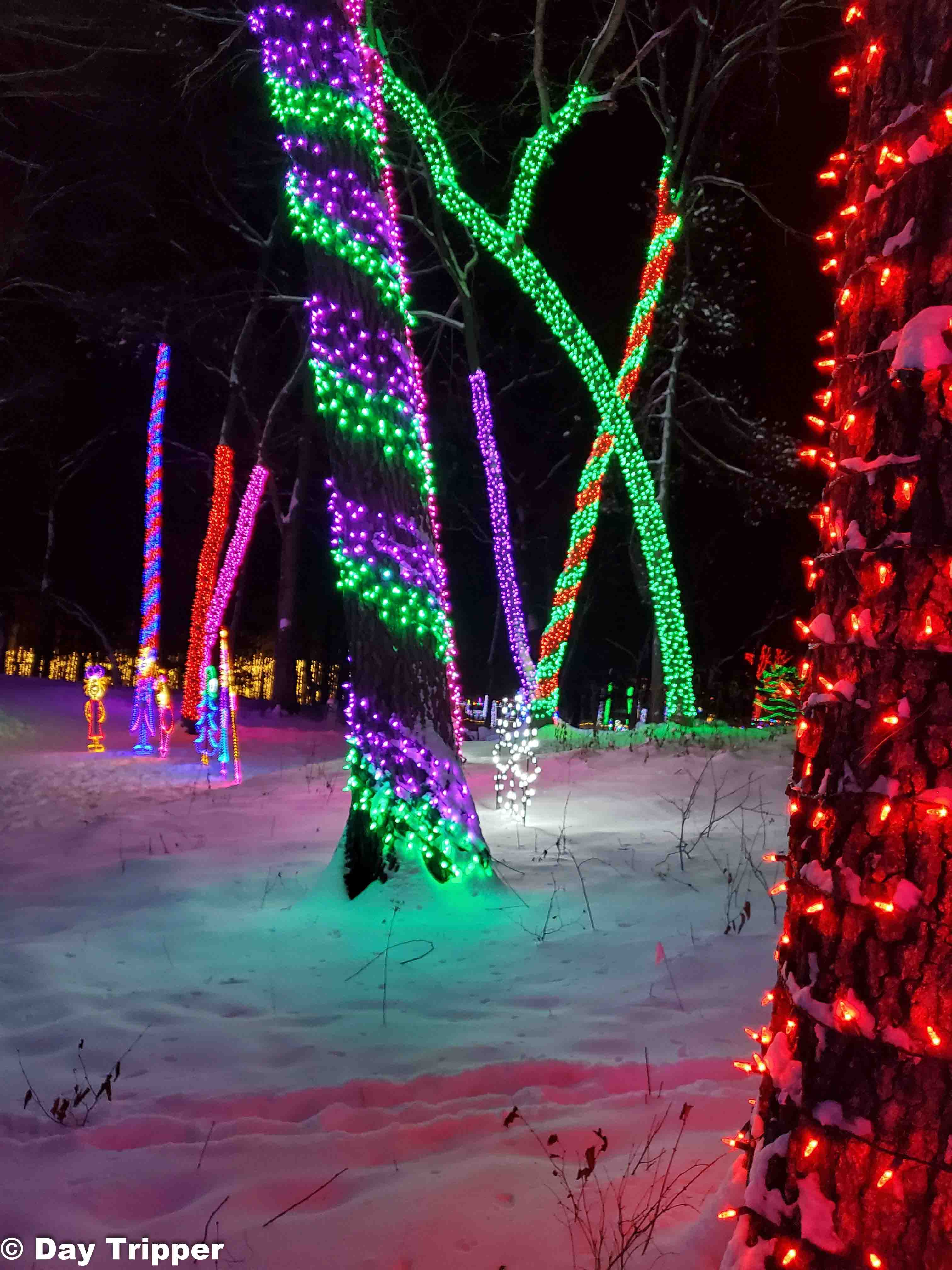 Whoville Trees at Miracle at Big Rock in Wisconsin