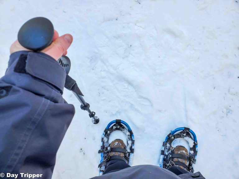 Snowshoeing in Minnesota: Best Trails and Tips for Beginners in 2023