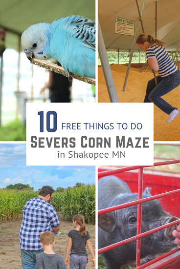 10 Free Things to do at Severs Corn maze in the Twin Cities. The best Corn Maze you'll find! Family | Corn Pit | Minneapolis | Shakopee