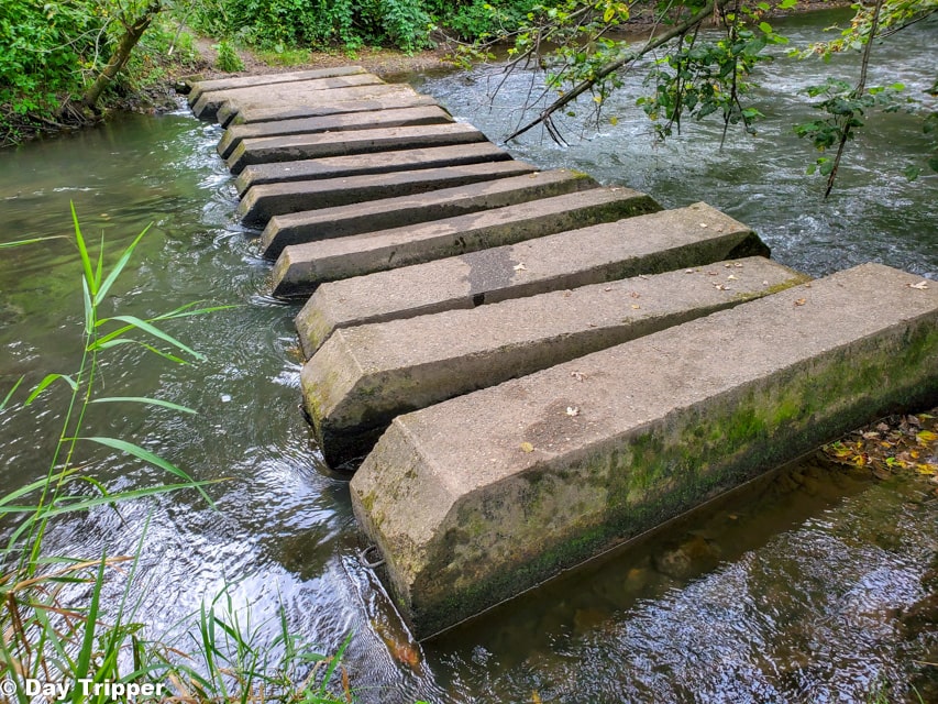 Cement Stepping Stones at Carley State Park