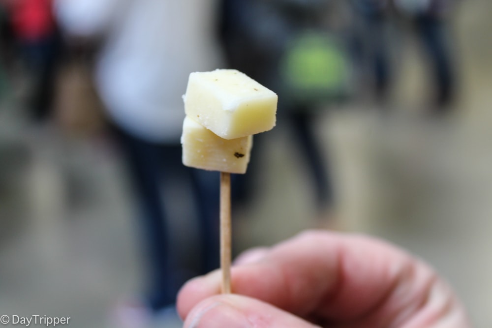 The Best Minnesota Cheese Makers were at Canterbury Park in Shakopee