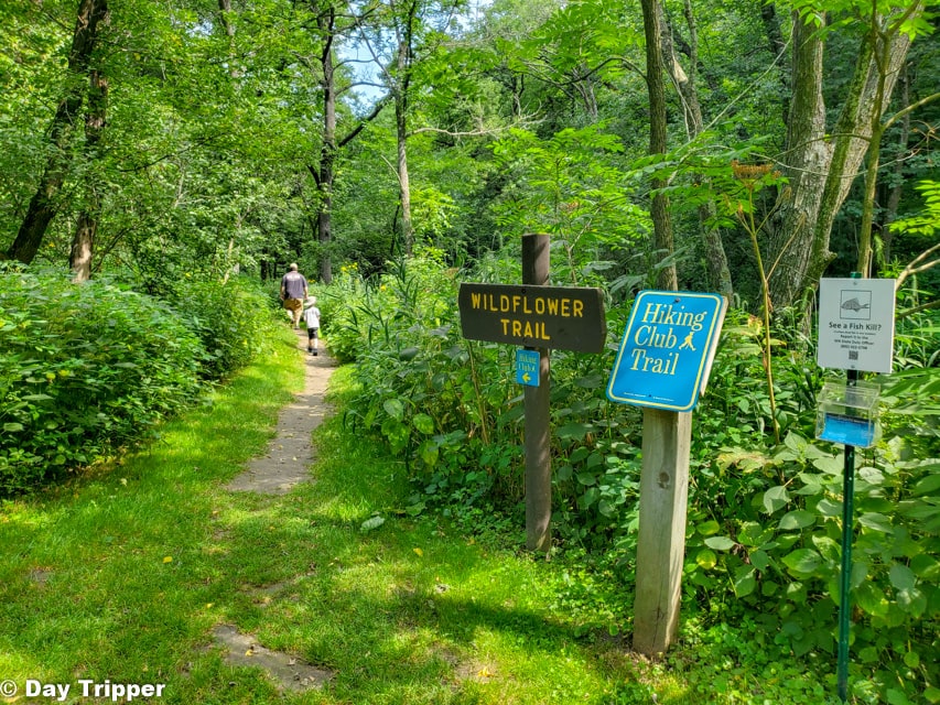 Wildflower Trail and Hiking Club Trail at Carley State Park