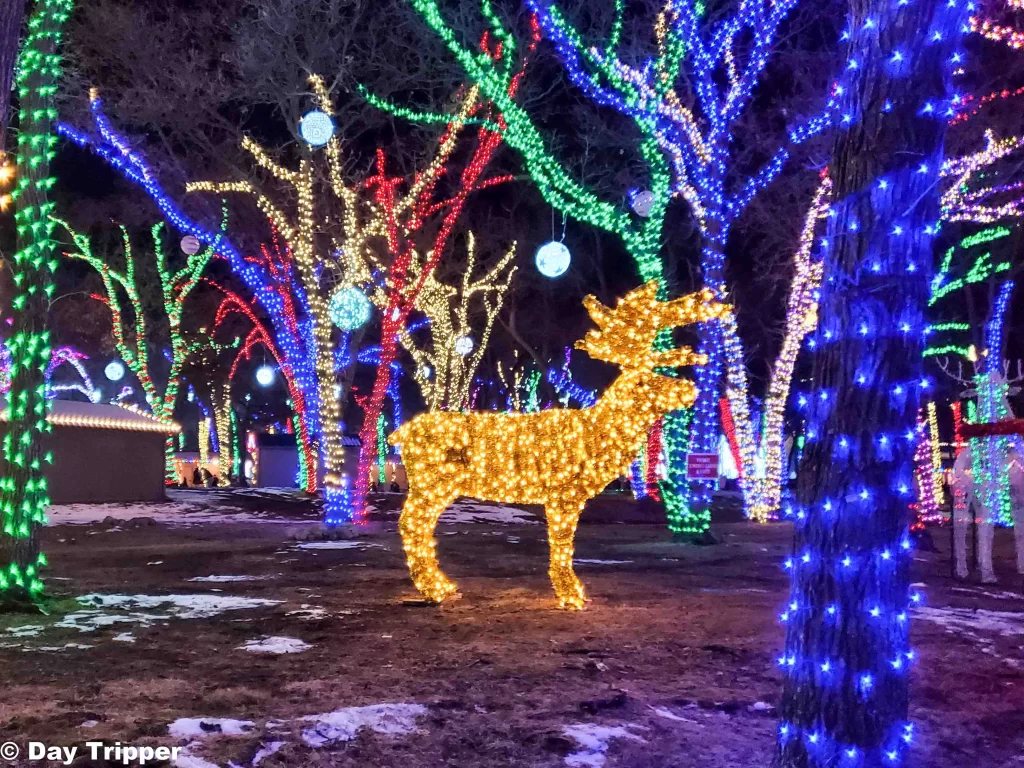 Lighted Reindeer at Sam's Christmas Village