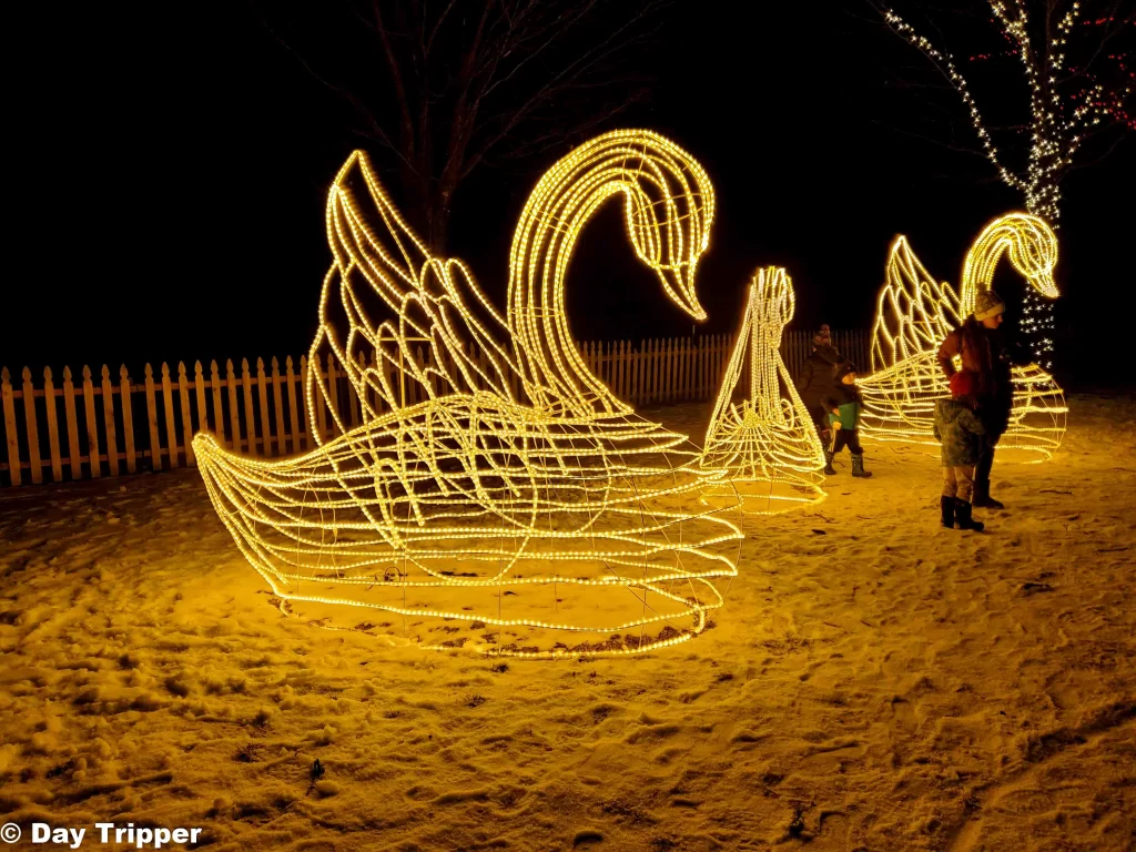 Magical Swans at Sam's Christmas Village in Somerset Wisconsin