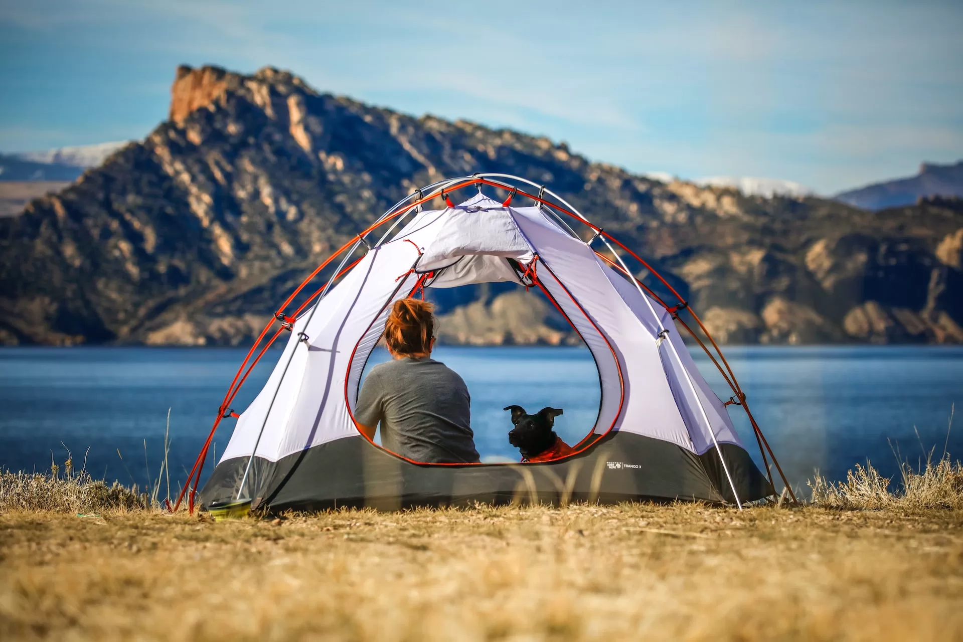 Best Coleman Tent For Camping