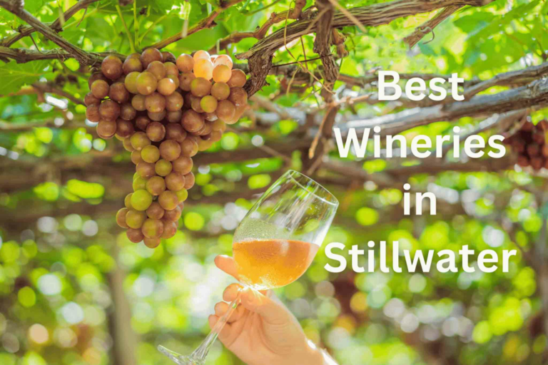 6 Best Stillwater Minnesota Wineries and Harvest Festivals in 2023