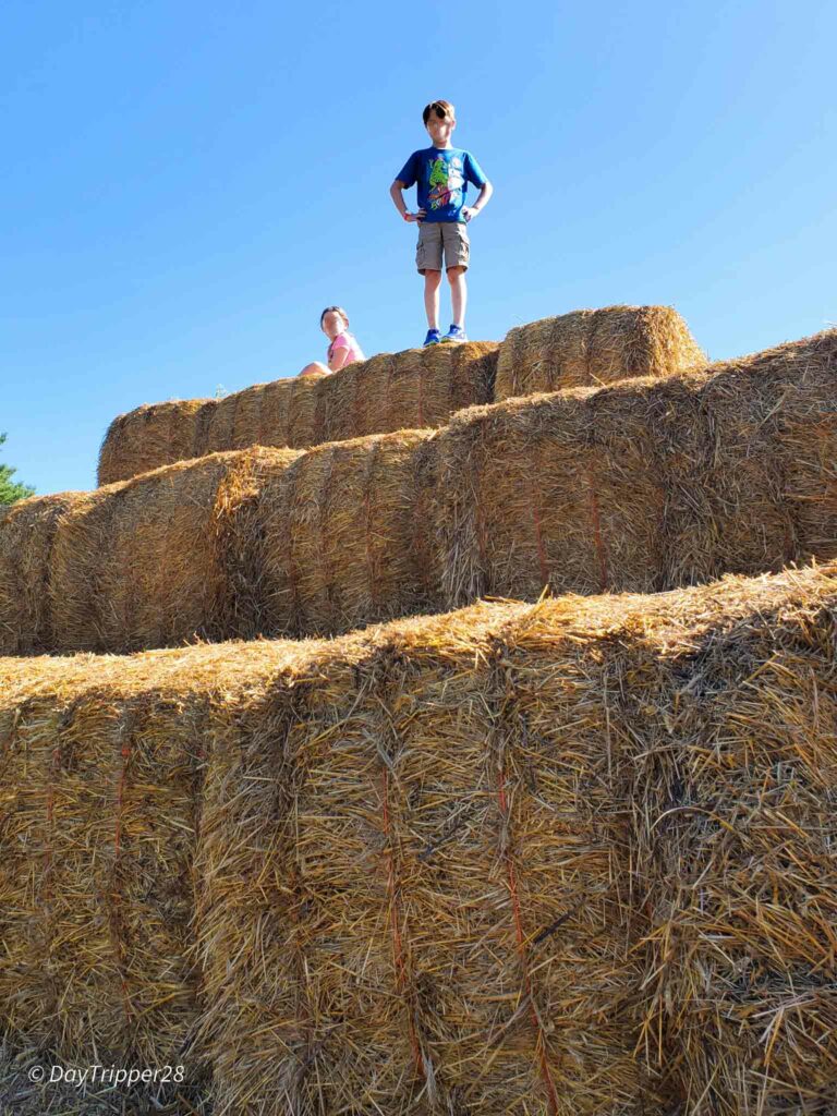 Kids climbing to the top of a Straw Bale Pyramid