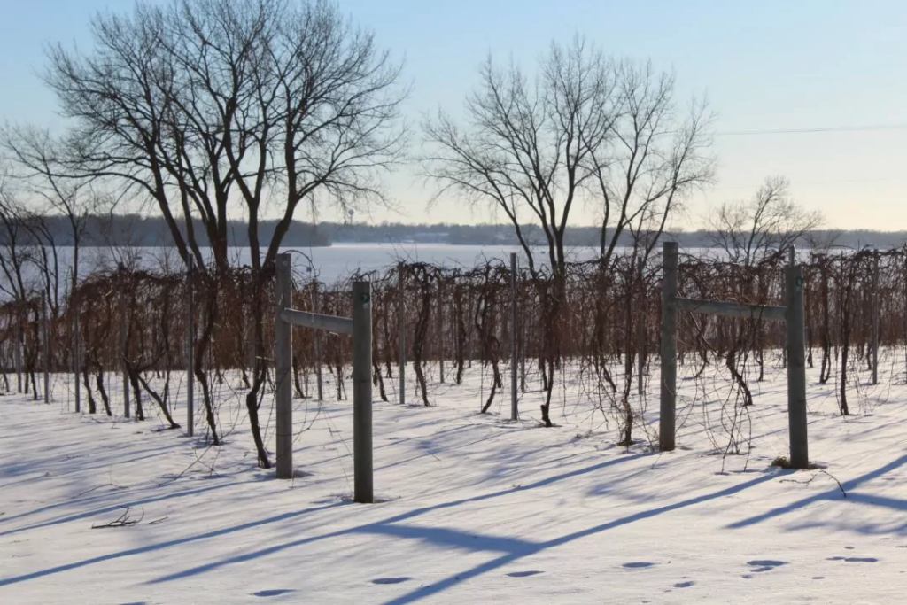 Sovereign Estates Winery in Winter