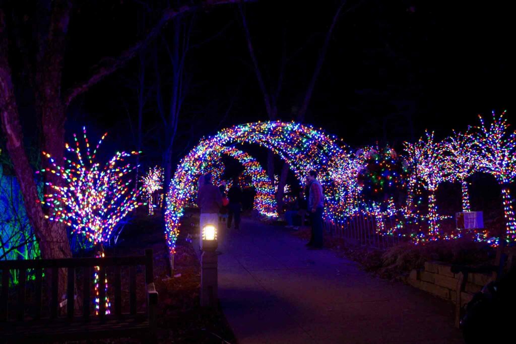 Lighted tunnel at the MN Landscape Arboretum at Christmas