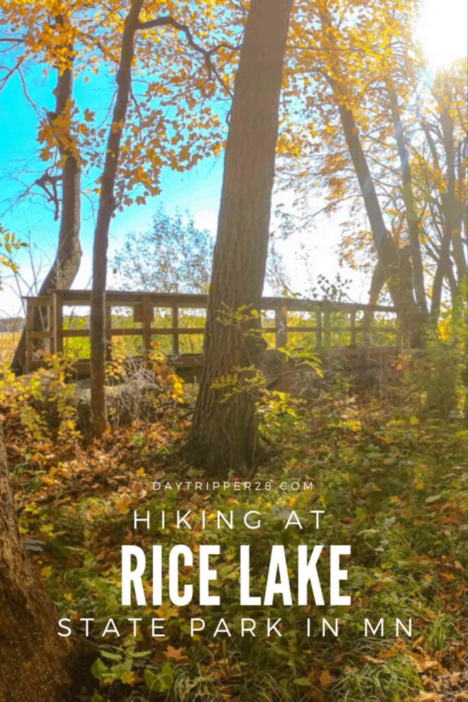 Hiking at Rice Lake State Park in MN