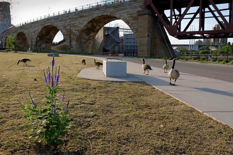 The Curve That Kept St. Anthony Falls Flowing: The Origins of the Stone Arch Bridge’s Odd Angle