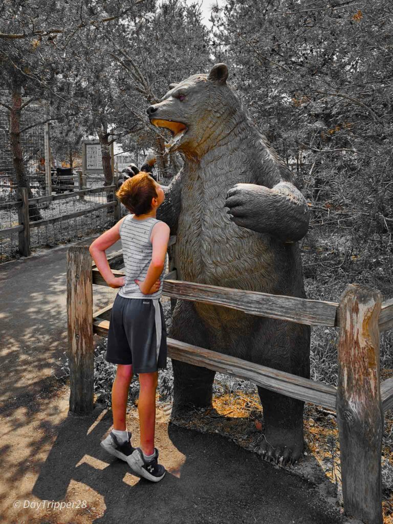 Facing off with a bear statue