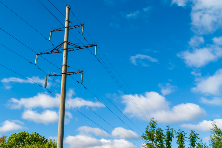 Why Does Minneapolis Keep Planting Trees Under Power Lines?