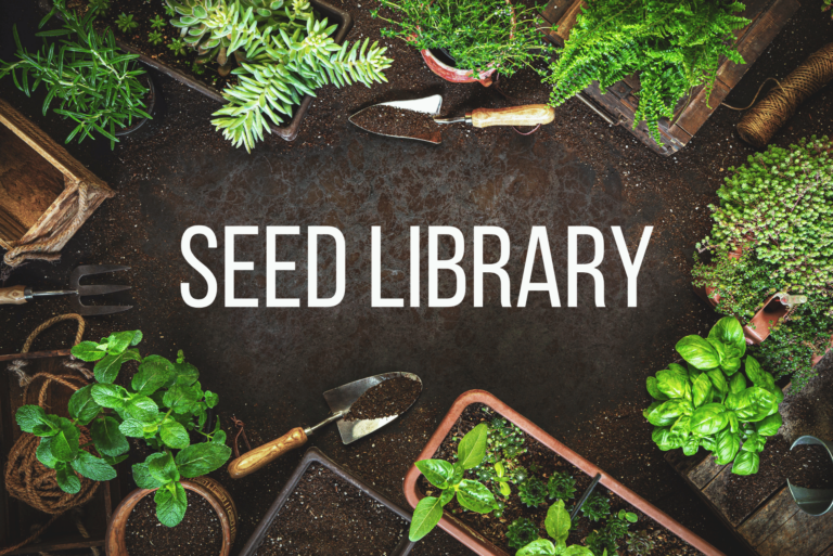 Seed Sharing Takes Root at Local Libraries