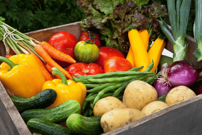 Join the Farm-Fresh Fun in Minnesota With a CSA This Summer!