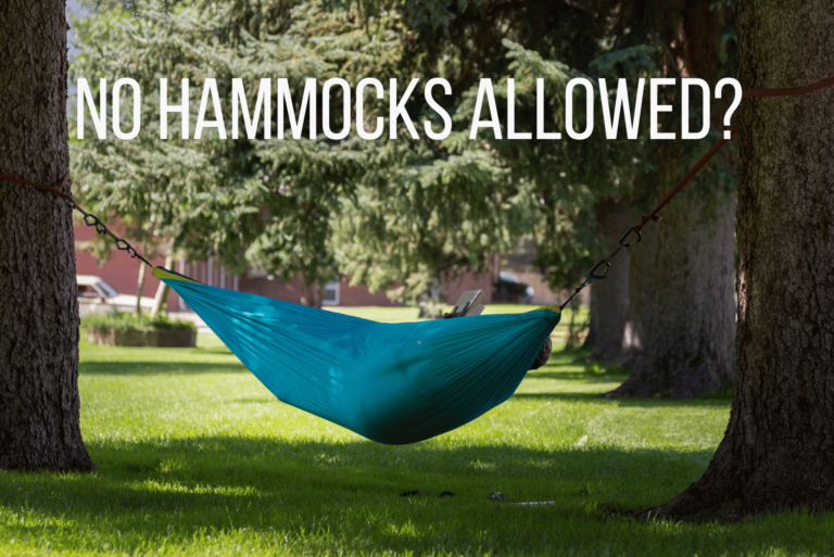 Hammock Hysteria in Minneapolis | Should they be allowed in Parks?